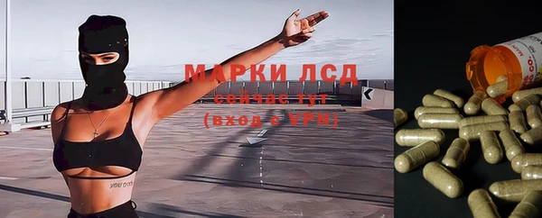 mdpv Корсаков