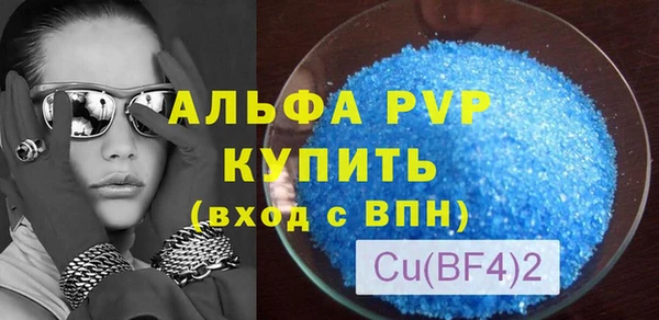 прущие грибы Коряжма