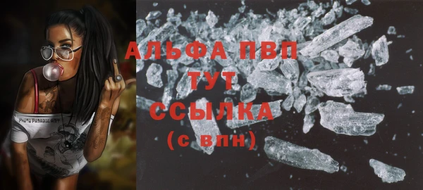 прущие грибы Коряжма