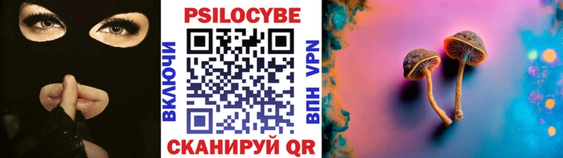 Псилоцибиновые грибы Magic Shrooms  дарнет шоп  Киселёвск 